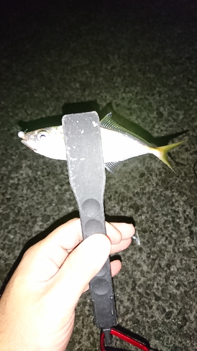 ひさびさの釣り