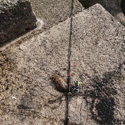 サクッとエギング