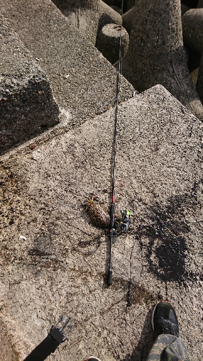 サクッとエギング