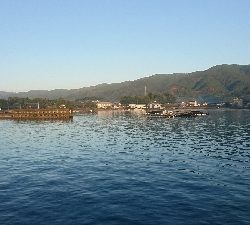 雨上がりの朝に