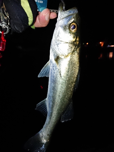 ナイスファイト！