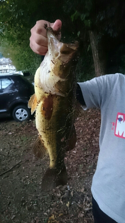 ビックワンゲット！！