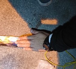 底にいたのは…