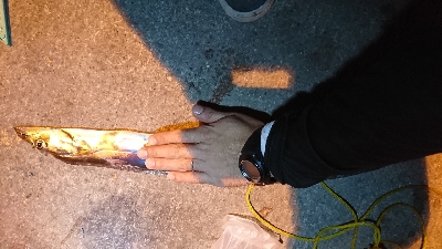 底にいたのは…