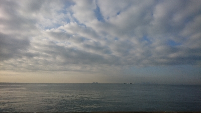 サゴシまだまだ