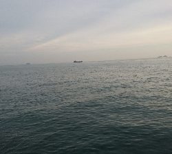 いよいよ終盤戦