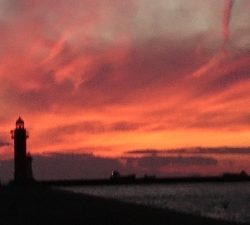 久しぶりのナブラ打ち