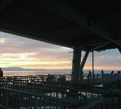 久しぶりにワインド