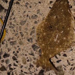 風強かったですが…