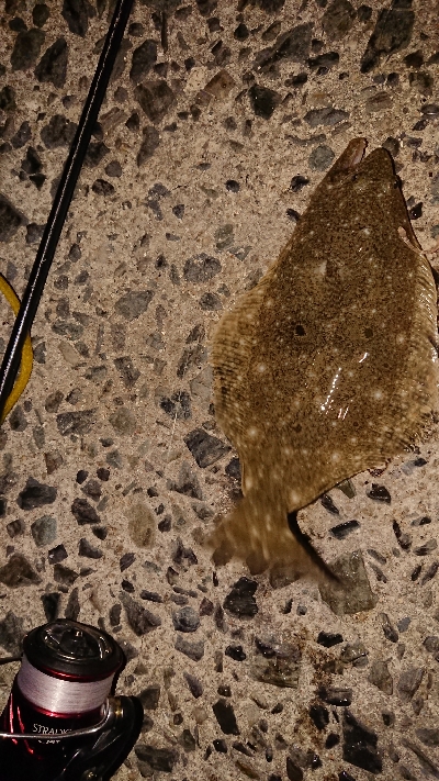 風強かったですが…