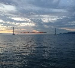 タチウオ 一匹…