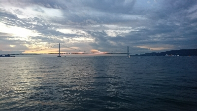 タチウオ 一匹…