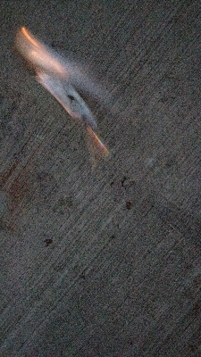 コノシロパターン