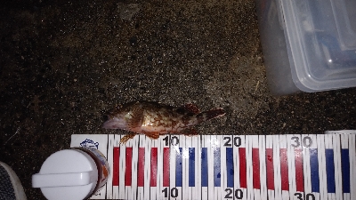 ズル引きしてたら