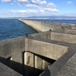 朝一ショアジギング