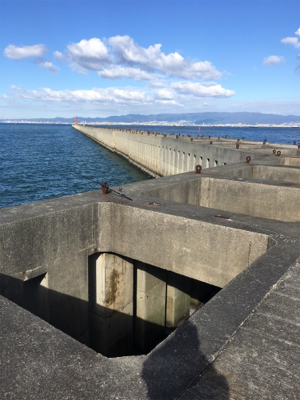 朝一ショアジギング