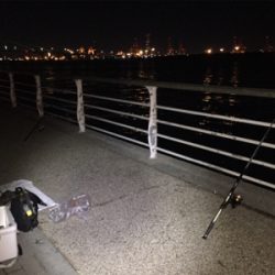 アタリは多いが、のりにくい