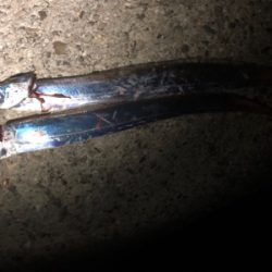 リベンジチャレンジ