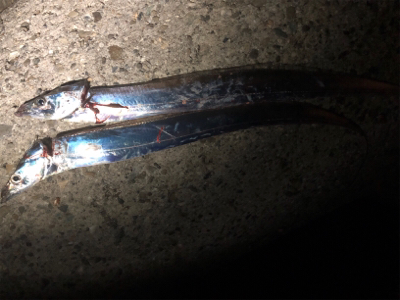 リベンジチャレンジ