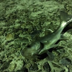 いつもの場所ライトゲーム