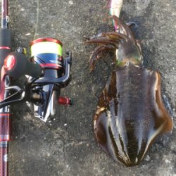 ランガンしながら