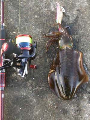 ランガンしながら