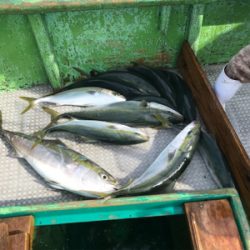 落とし込み 飲ませ