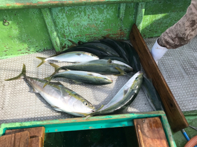 落とし込み 飲ませ