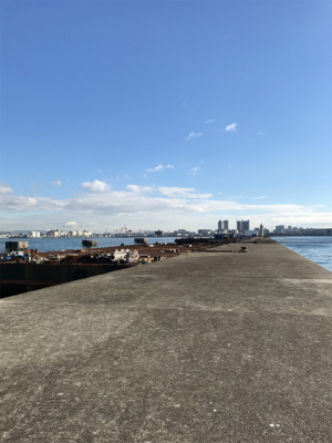 メジロが釣りたくて