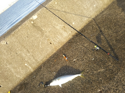 飲ませド〜ン！