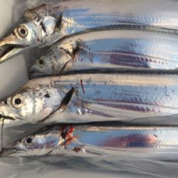 サイズアップしてます‼️