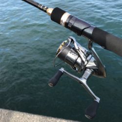 モーニングサービス