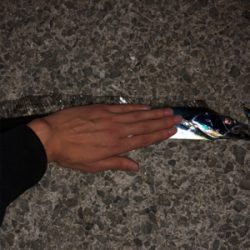 雨のせいで15分ほどしかできなかったけど釣れた