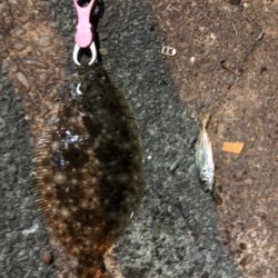 ヤエンでまさかの