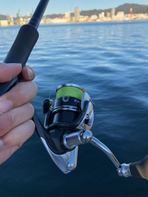 タチウオばかり