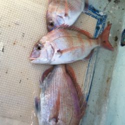 北〜南 ロングコース