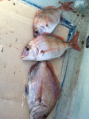 北〜南 ロングコース