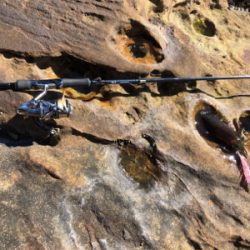 秋イカエギング