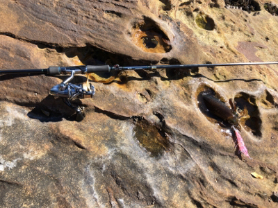 秋イカエギング