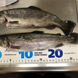 川越水上公園でプールフィッシング