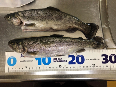 川越水上公園でプールフィッシング