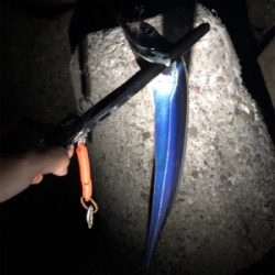 休日のタッチ〜釣行! 出遅れた(´༎ຶོρ༎ຶོ`)