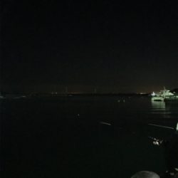 夜サビキ