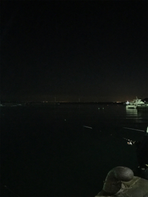 夜サビキ