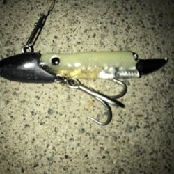 サイズアップなう！！