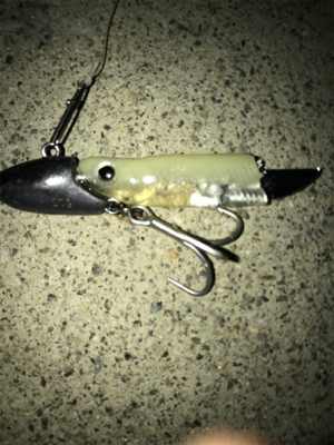 サイズアップなう！！