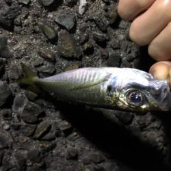 いつもの場所が渋い