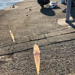 おっちゃんの言う通り