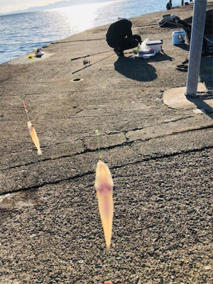 おっちゃんの言う通り