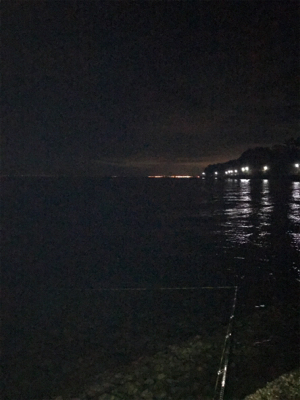 ハッスルしナイト